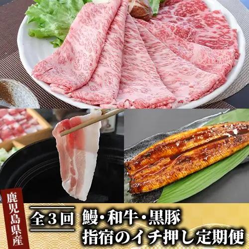 定期便 全3回 指宿のイチ押し定期便 鰻・和牛・黒豚 IBZ999-001 定期便 定期便