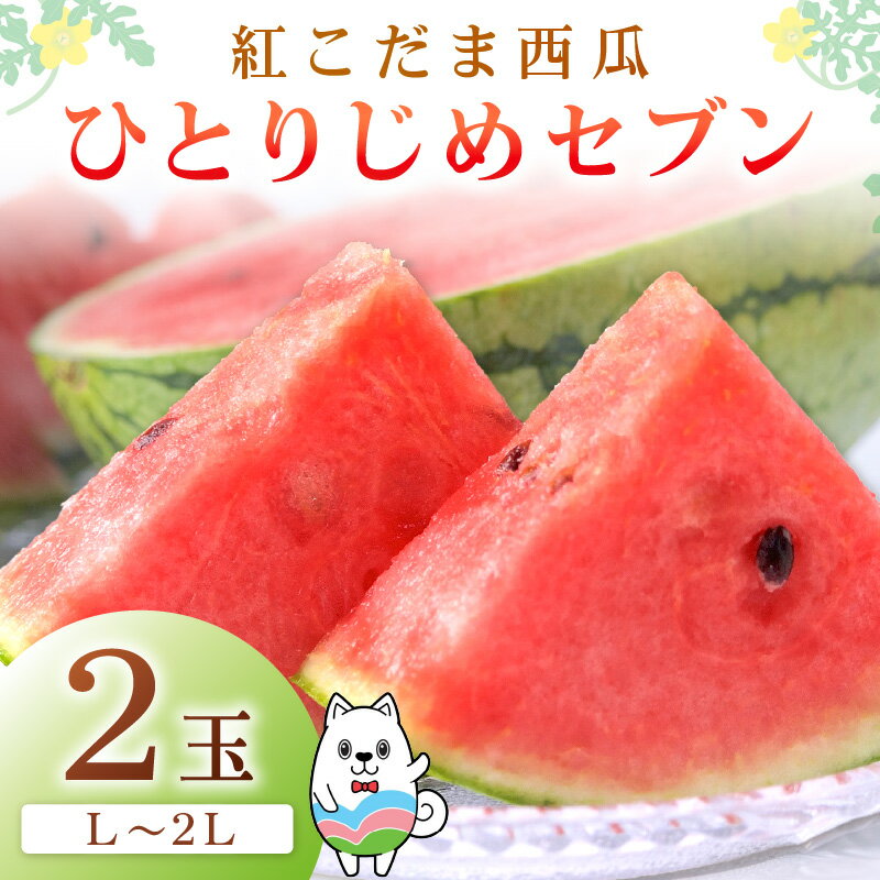 【ふるさと納税】紅こだま西瓜（ひとりじめセブン）2玉入り〈先行予約〉2026年5月中旬から順次発送