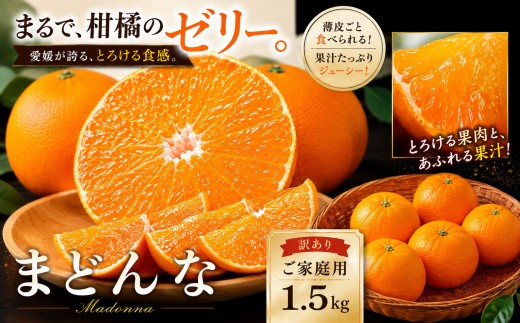 ＜濃蜜果肉 愛媛県産媛まどんな 合計約1.5kg＞『2026年11月中旬～1月中旬迄に順次出荷予定』訳あり 濃厚 甘い あまい とろける ミカン 蜜柑 ご家庭用 果汁 果物 くだもの フルーツ オレンジ 柑橘 特産品 極尽道 愛媛県 西予市 【常温】