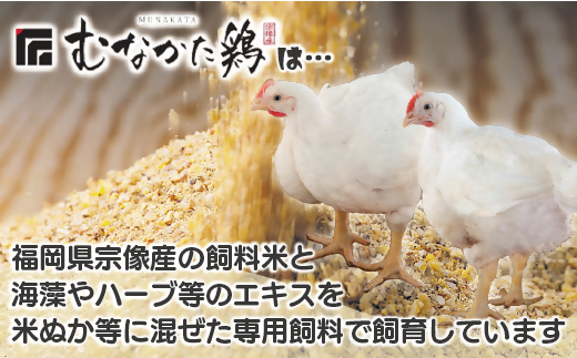 宗像産ブランド鶏【むなかた鶏】モモ肉6kg（平飼い）【JAほたるの里】_HA1415