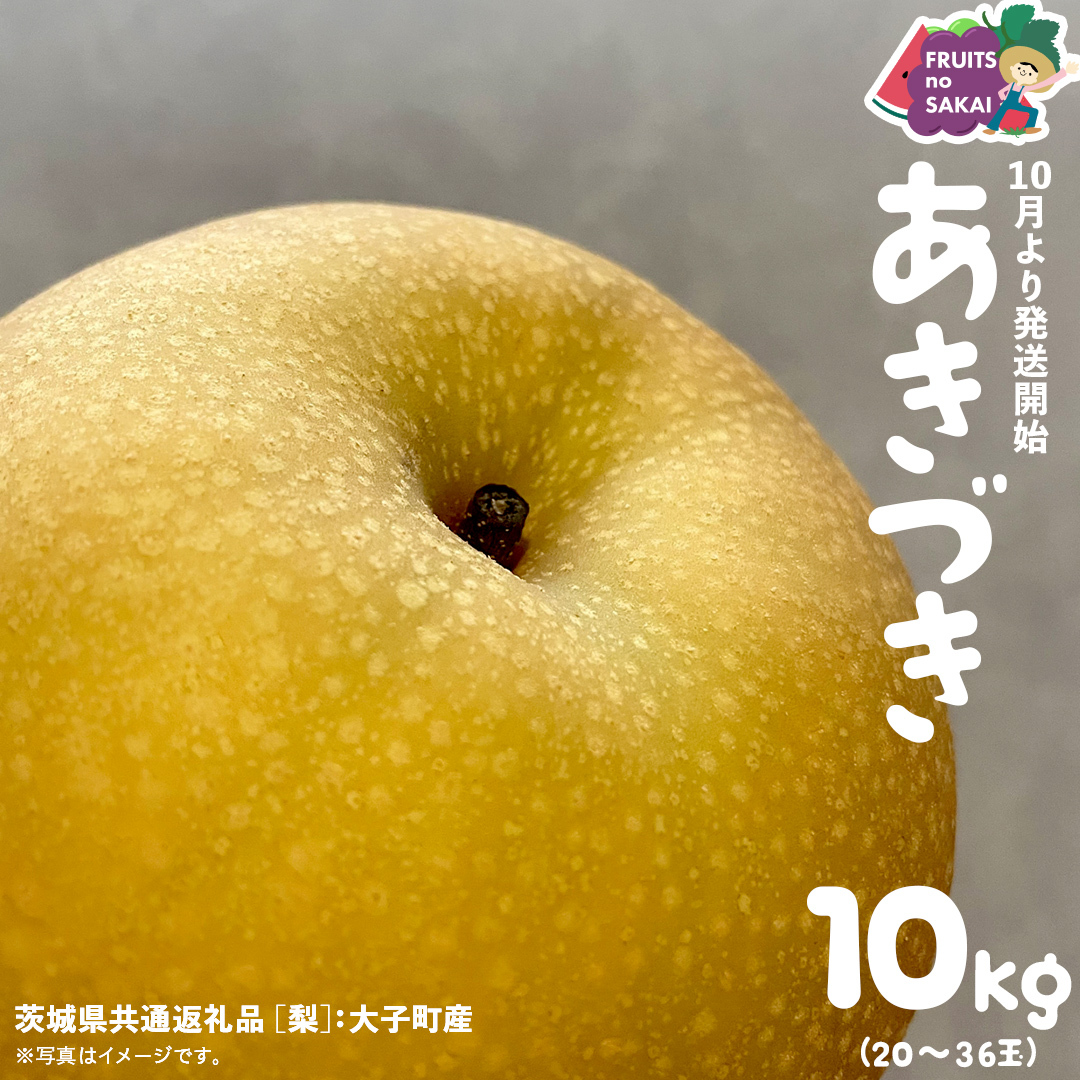 あきづき 梨 10kg （20～36玉）【2025年10月より発送開始】（茨城県共通返礼品 [梨]：大子町産） なし 旬 お取り寄せ フルーツ 甘い ジューシー 和梨 時期 秋月 [FC08-NT]