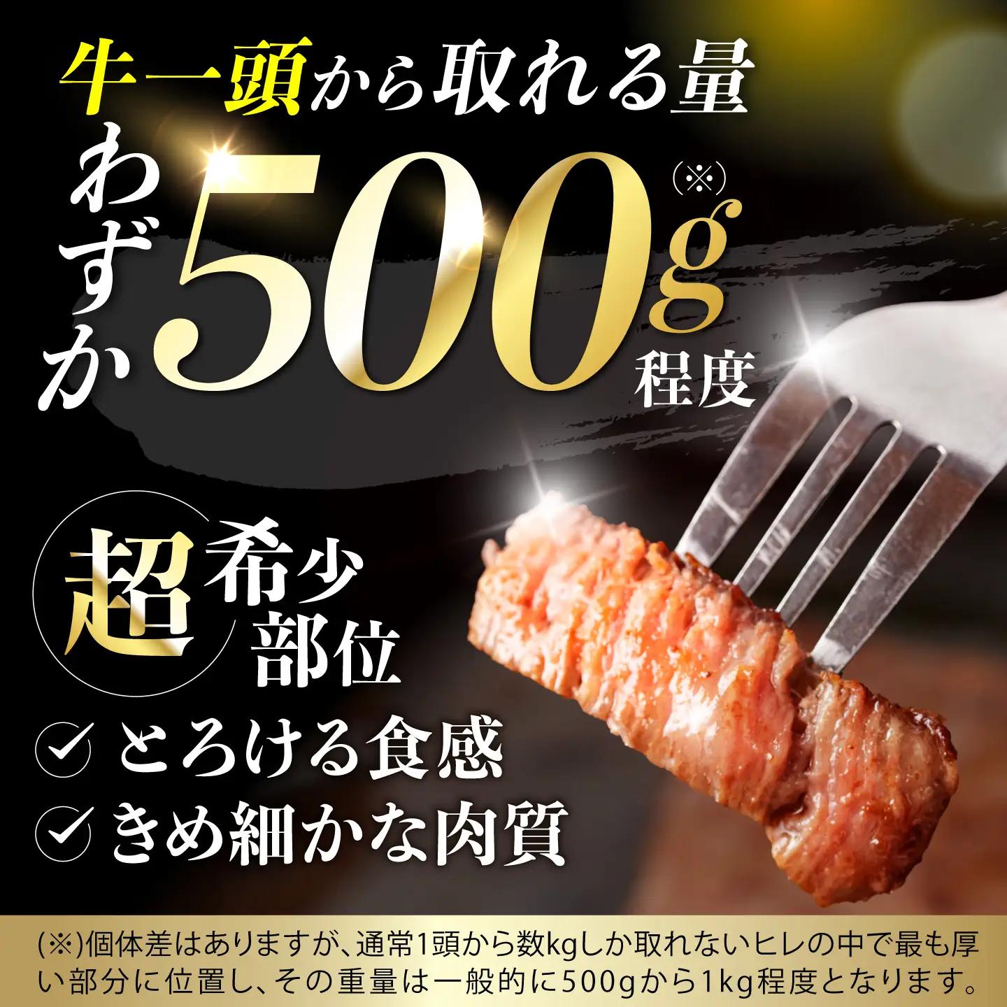長崎和牛 シャトーブリアン 450g シャトーブリアンステーキ AHCW149