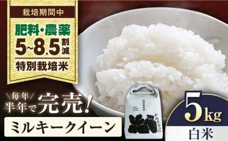 【令和7年産新米】特別栽培米ミルキークイーン　5kg白米[AQCP020] 白米