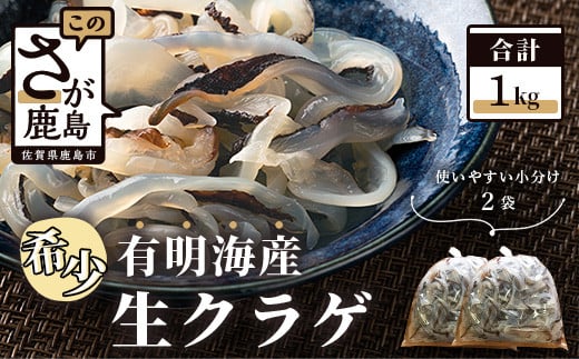 AA-32【有明海産】希少！生クラゲ１ｋｇ（ビゼンクラゲ）