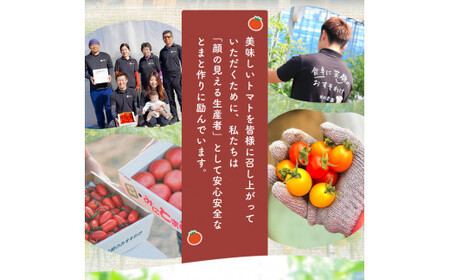 ミニトマト生産量 日本一 玉名市 !！ 「 トマ・ランタン 」 約 2kg ミニトマト トマト Vege Rise 