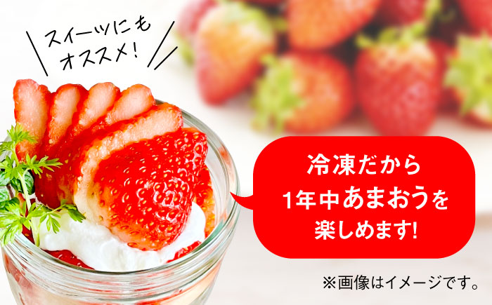 福岡県産【博多冷凍あまおう】約500g×4袋 合計約2kg《築上町》【株式会社H&Futures】 [ABDG007]