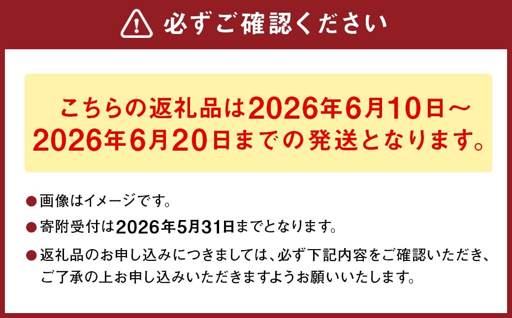 熊本県産肥後グリーンメロン 2玉