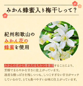 紀州みかん蜂蜜入り梅干（塩分約5％） 1kg / はちみつ梅干し 和歌山 田辺市 紀州南高梅 南高梅 梅干し 梅干 梅 肉厚 お米 おにぎり 焼酎 梅酒 健康 みかん蜂蜜 甘い梅干し ご飯のお供 まろ