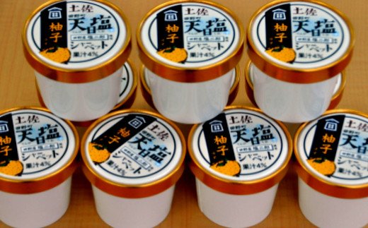 塩姫シャーベット 柚子 100ml×10個 柚子 ミネラル 田野屋塩二郎 天日塩 アイス あいす シャーベット 冷凍