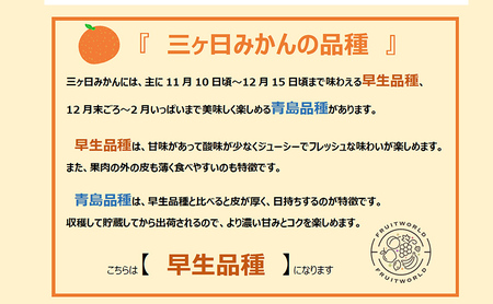 【2024年11月中旬より順次発送】『訳あり』三ヶ日みかん早生 約4kg
