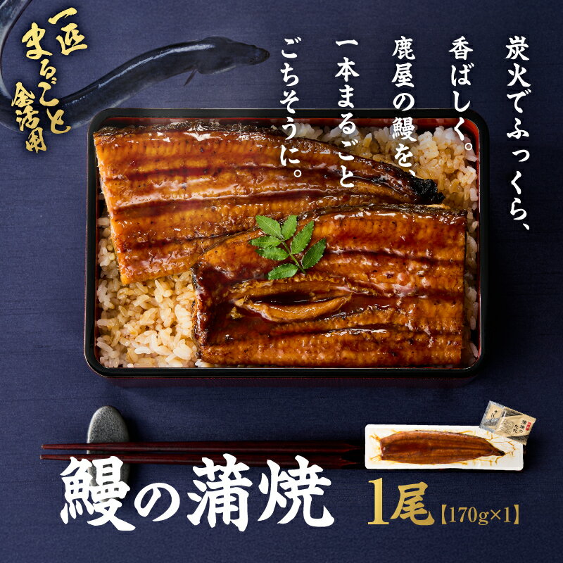 【ふるさと納税】 鰻の蒲焼 170g × 1尾 訳あり 訳アリ 規格外 うなぎ ウナギ 鰻 まがりうなぎ 蒲焼 たれ クラウドファンディング ふるさと納税3.0 オキス 鹿児島 鹿屋市 おすすめ ランキング プレゼント ギフト