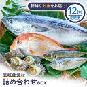 【ふるさと納税】【全12回定期便】壱岐産食材詰め合わせBOX「魚」[JBF023] 詰め合わせ セット 魚 鮮魚 264000 264000円 24万円 冷蔵配送