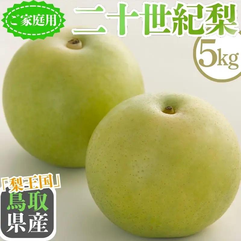 Y1015 二十世紀梨(家庭用) 5kg