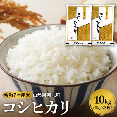 ふるさと納税 河北町 【令和7年産米】2026年1月下旬発送 コシヒカリ10kg  山形県産 【米COMEかほく】