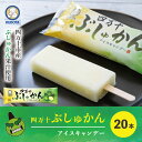 【ふるさと納税】 久保田食品 四万十 ぶしゅかん アイスキャンデー 20本 入り 冷菓 菓子 冷凍 冷凍便 アイス スイーツ おやつ おいしい フルーツ 柑橘 久保田アイス 人気 おすすめ グルメ ご当地 お取り寄せ ギフト 夏ギフト お中元 お歳暮 贈答 送料無料 のし対応 25-444