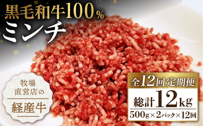 【小分けがうれしい！】【12回定期便】牧場直営店の黒毛和牛100%ミンチ 1000g（500g×2パック）【川崎畜産】 [IAX022]