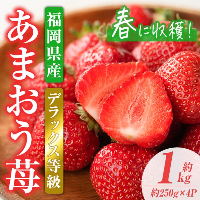 【ふるさと納税】＜先行予約受付中！2026年2月上旬～2026年3月末に順次発送予定＞あまおうDX(デラックス)・春(計約1kg・約250g×4P)いちご 苺 フルーツ 果物 くだもの 福岡限定 家庭用 冷蔵 ＜離島配送不可＞【ksg0473】【南国フルーツ】