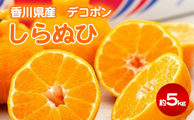 しらぬひ 約5kg デコポン 果物類 みかん 柑橘類 フルーツ 