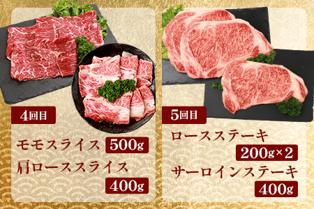 【定期便5回】総重量3.5kg！椎葉牛オールスター定期便≪ローストビーフ・切り落とし・焼き肉・スライス・ステーキ≫【A5等級指定 黒毛和牛】A5ランク a5【日本三大秘境 椎葉村 育ちの黒毛和牛】