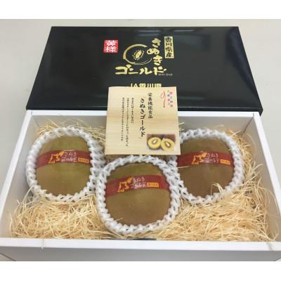 ふるさと納税 東かがわ市 さぬきゴールドキウイ　黄様(おうさま)大きなサイズ3玉化粧箱入り