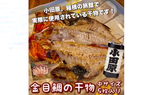 金目鯛の干物 中サイズ 5枚セット