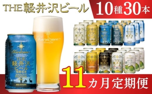 【11ヶ月定期便】 THE軽井沢ビール 10種30缶 飲み比べ セット クラフトビール 地ビール 【 軽井沢ブルワリー THE軽井沢ビール 詰め合わせ 豪華 飲み比べ セット クラフトビール 地ビール