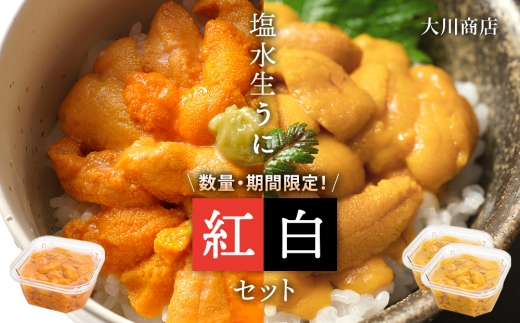 【2026年夏発送分】バフンウニ100g×1パック・ムラサキウニ100g×2パック
