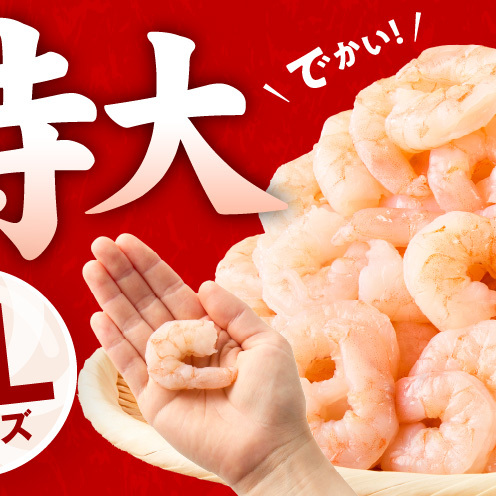 むきえび 定期便 1.7kg×12回 特大5Lサイズ【下処理不要 小分け 850g×2P 訳あり サイズ不揃い バナメイエビ バラ凍結】 G5436_イメージ3