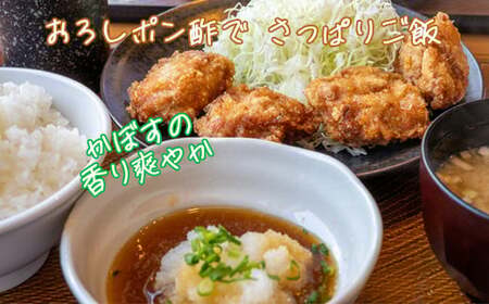  ポン酢 ドレッシング カボス 調味料 ／ オレンジ農園のかぼすポン酢 3本セット ＜108-001＞