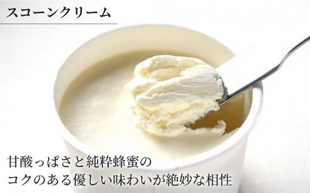 【12回定期便】 famfam リッチハニースコーンセット(クリーム付き) 多治見市 / famfam[TAK022]