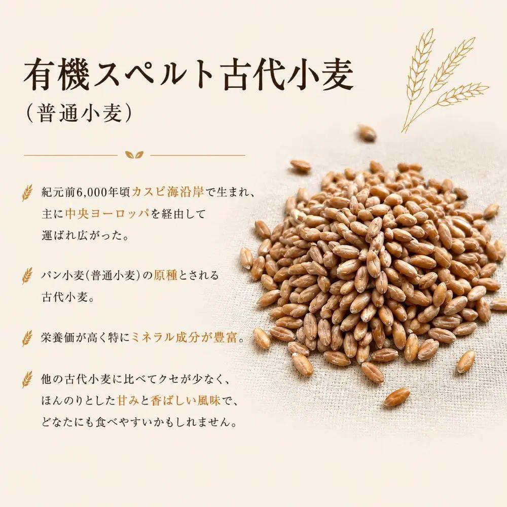 薪窯パン 有機古代小麦を使用したこだわりパン 3種各1個 食べ比べ 有機古代小麦セレクションA 【 農家パン VERUM 】 