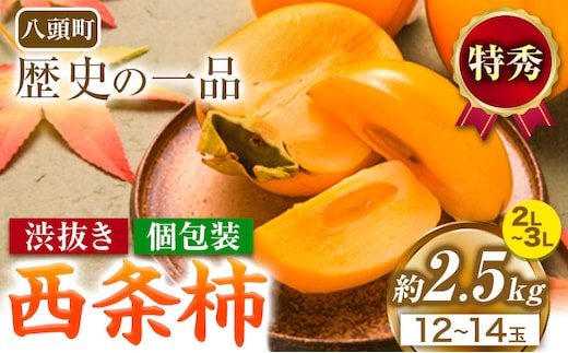 西条柿 2.5kg 個包装 (12玉〜14玉) JA鳥取いなば《10月下旬-11月下旬頃出荷》渋抜き 2L〜3L 柿 かき カキ フルーツ 果物 くだもの 青果物 特秀 鳥取県 八頭町st-p