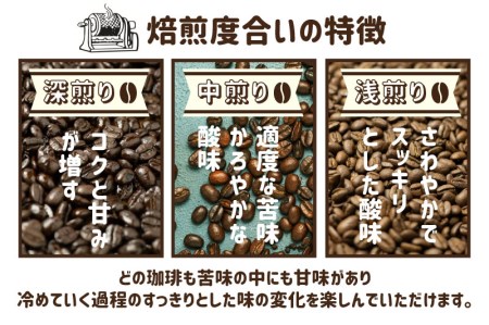 珈琲 豆 ブレンドコーヒーお試しセット イタリアン(深煎り)240ｇ あすなろ(中煎り)240g ドリップバッグコーヒー1袋付き [Q1358]