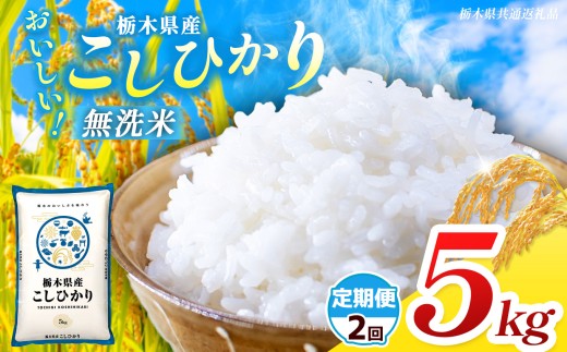 【栃木県共通返礼品】【先行予約】【令和8年度産】【定期2回】 訳あり 栃木県産 コシヒカリ  無洗米 5kg | 定期便 選べる ふるさと 納税 コシヒカリ とちぎの星 お米 精米 無洗米 ごはん ご飯 主食 日本米 kome 栃木県 共通返礼品 那珂川町 送料無料