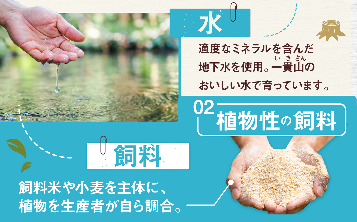 一貴山豚 しゃぶしゃぶ 食べ比べセット スライス3種750g＋つくね200g 糸島市 / いきさん牧場 豚肉 セット 冷凍 [AGB061]