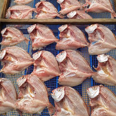 ふるさと納税 南知多町 鯛の一夜干し |  | 03