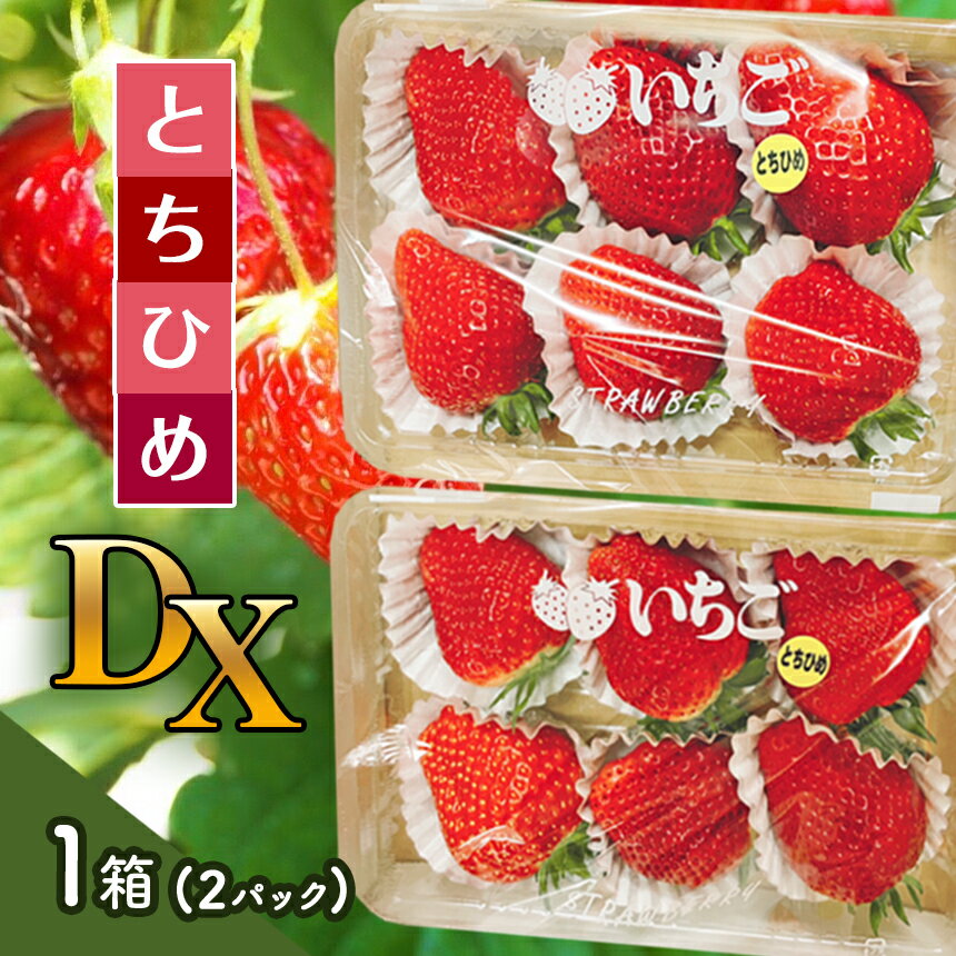【ふるさと納税】 【先行予約】とちひめ DX 1箱(2パック) 〈期間限定〉12月～2月｜苺 いちご イチゴ ストロベリー パック 厳選 手作り 手づくり 農家 特産品 真岡市 美味しい おいしい 旨い 美味い うまい 人気 旬 新鮮 フレッシュ ジューシー 甘い あまい 栃木県 送料無料