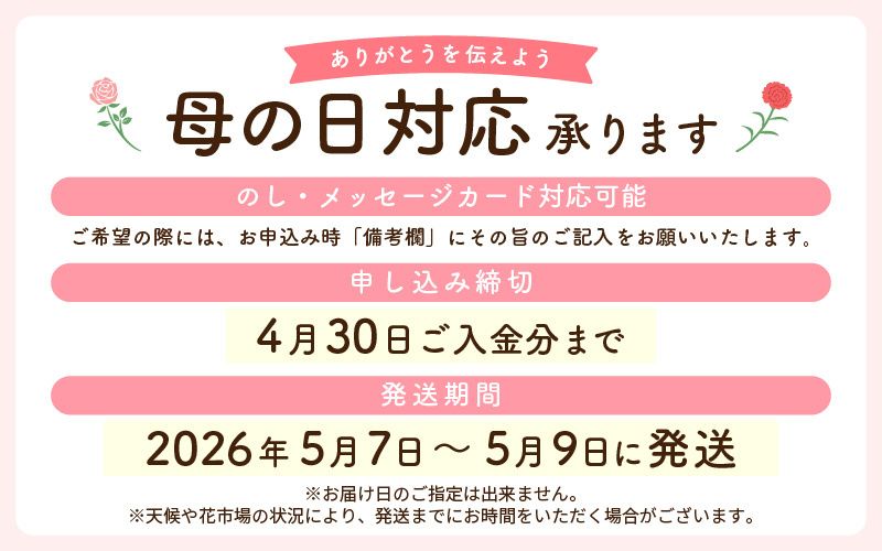 【先行予約】【母の日】カーネーション ブーケ 花 ギフト 越前和紙 花 【2026年5月発送】「永遠の感謝」 メッセージ【カラー：ピンク】【 フラワーギフト 和紙花 手軽 コンパクト 枯れない  メッ