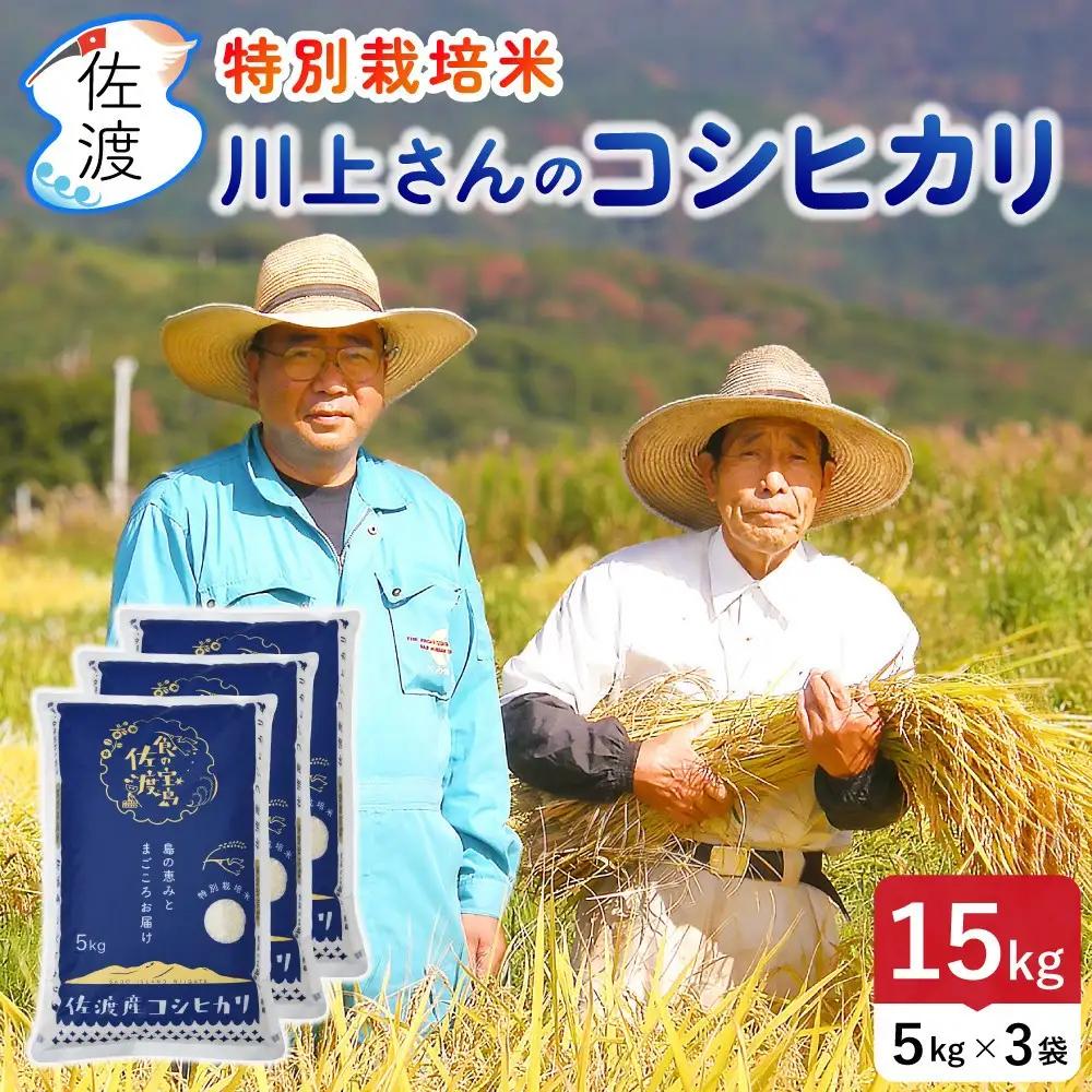 コシヒカリ 無洗米 15kg 令和7年産 川上さんのコシヒカリ | 新潟県 佐渡市