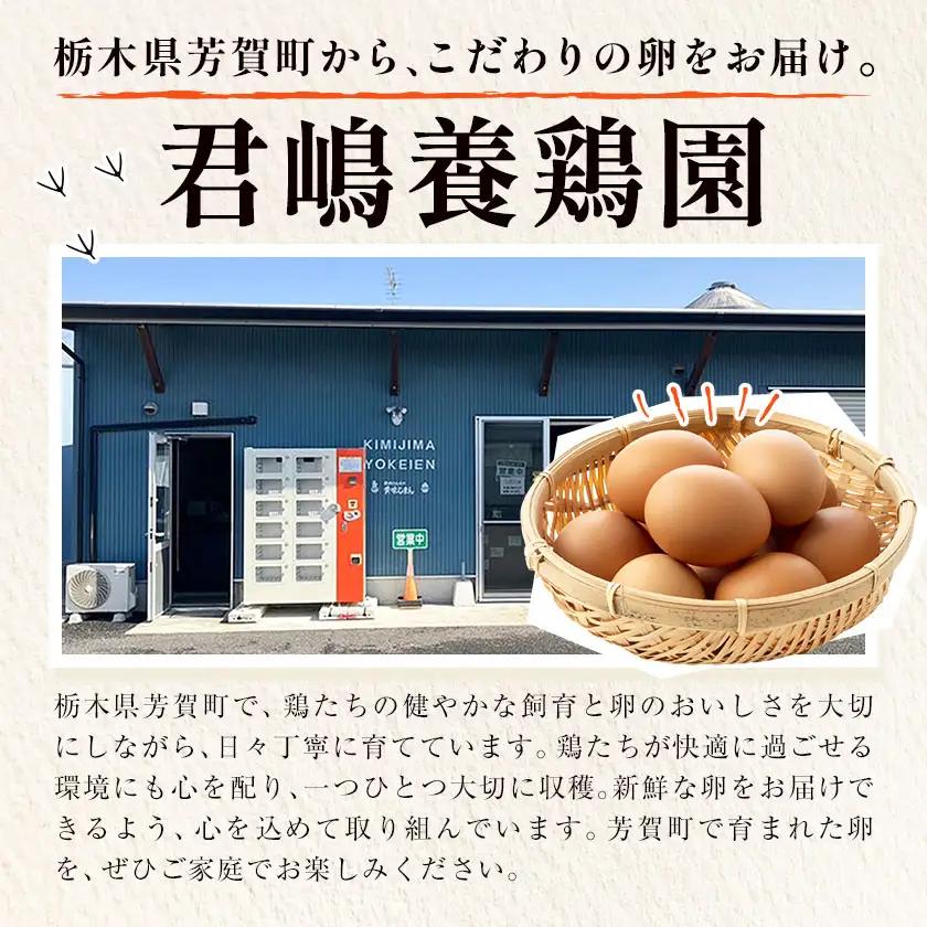 【5か月定期便】君嶋養鶏園のたまご Lサイズ 60個（55個＋割れ補償5個）×5ヶ月 計300個 | 定期便 5ヶ月 5か月 5ヵ月 卵 玉子 たまご 赤卵 赤たまご 生卵 国産 濃厚 鶏卵 コク 旨