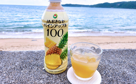 JAおきなわ　パインアップル100（PET500ml）6本セット パインアップル パイナップル ぱいなっぷる パイン パインジュース ぱいん 安心 甘酸っぱい パインストレート ソーダ割 南国フルーツ