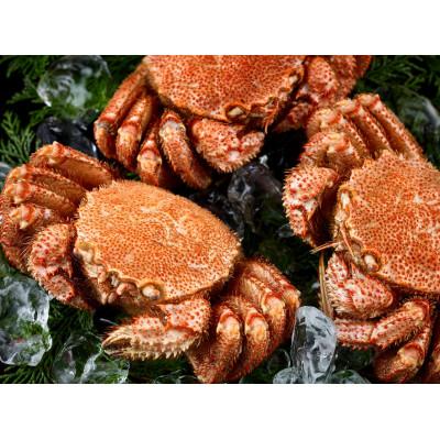 ふるさと納税 森町 前浜茹で毛がに 約420g〜450g×2尾 |  | 02