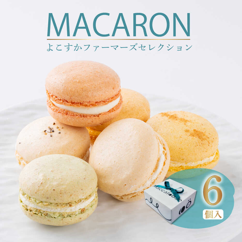 【ふるさと納税】マカロン6個セット よこすかfarmersSelection マカロン お菓子 スイーツ 野菜 まかろん ベジタブル よこすか野菜 おしゃれ 横須賀【マカルース】[AKGS001]