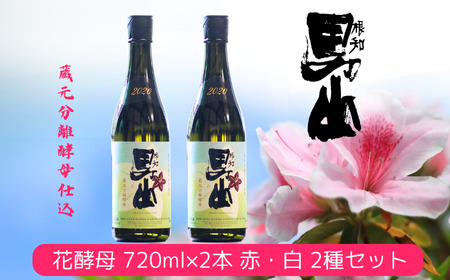 日本酒 飲み比べ 蔵元分離酵母仕込 720ml×2本 根知男山 花酵母 720ml×2本 赤・白 2種セット 自社栽培米使用 天然酵母 地酒 新潟 糸魚川 蔵元直送 酒米 こだわりの酒 ドメーヌ・スタイル 華やかな香り 父の日 贈り物 ギフト 