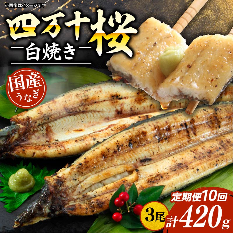 【ふるさと納税】 贈答用 10回定期便 極上国産うなぎ四万十桜 白焼き約140g×3尾 うなぎ 鰻 ウナギ 白焼き 定期便 国産 四万十鰻 ウナギ 蒲焼き 調理済み タレ付き 頒布会 ギフト お歳暮 お正月 高級 お取り寄せ グルメ 食べ比べ 冷凍