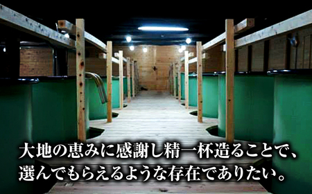 三次の酒米でつくった純米大吟醸 三次市/美和桜酒造[APBF001]