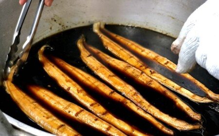 特選うなぎ蒲焼き2本定期便　計3回お届け ヤマシン