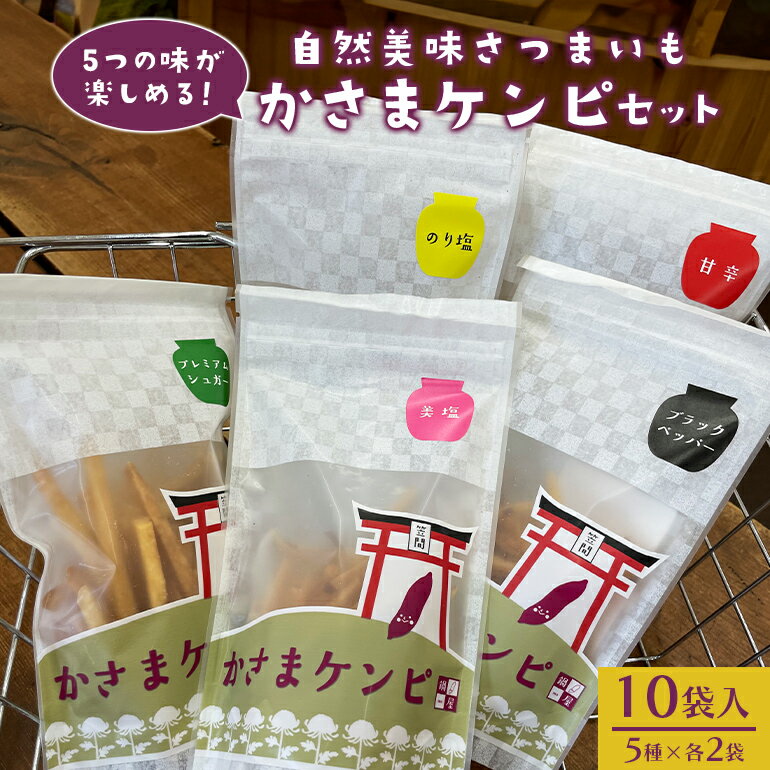 【ふるさと納税】かさまケンピ セット 5種 各2袋
