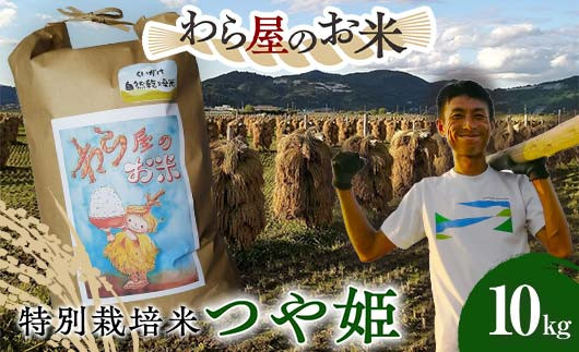 
            【わら屋のお米】 令和7年産 特別栽培米 つや姫 10kg 『おがわ藁農園』 米 白米 精米 ご飯 農家直送 山形県 南陽市 [2168]
          