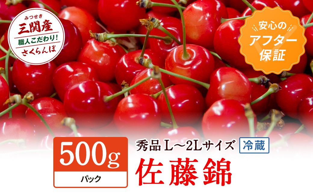 
                  令和9年産 先行予約 数量限定！「冷蔵」佐藤錦 500g 秀L～2Lサイズ さくらんぼ 果物 フルーツ 秋田県  湯沢市 三関【田村果樹園】[H10802]
                